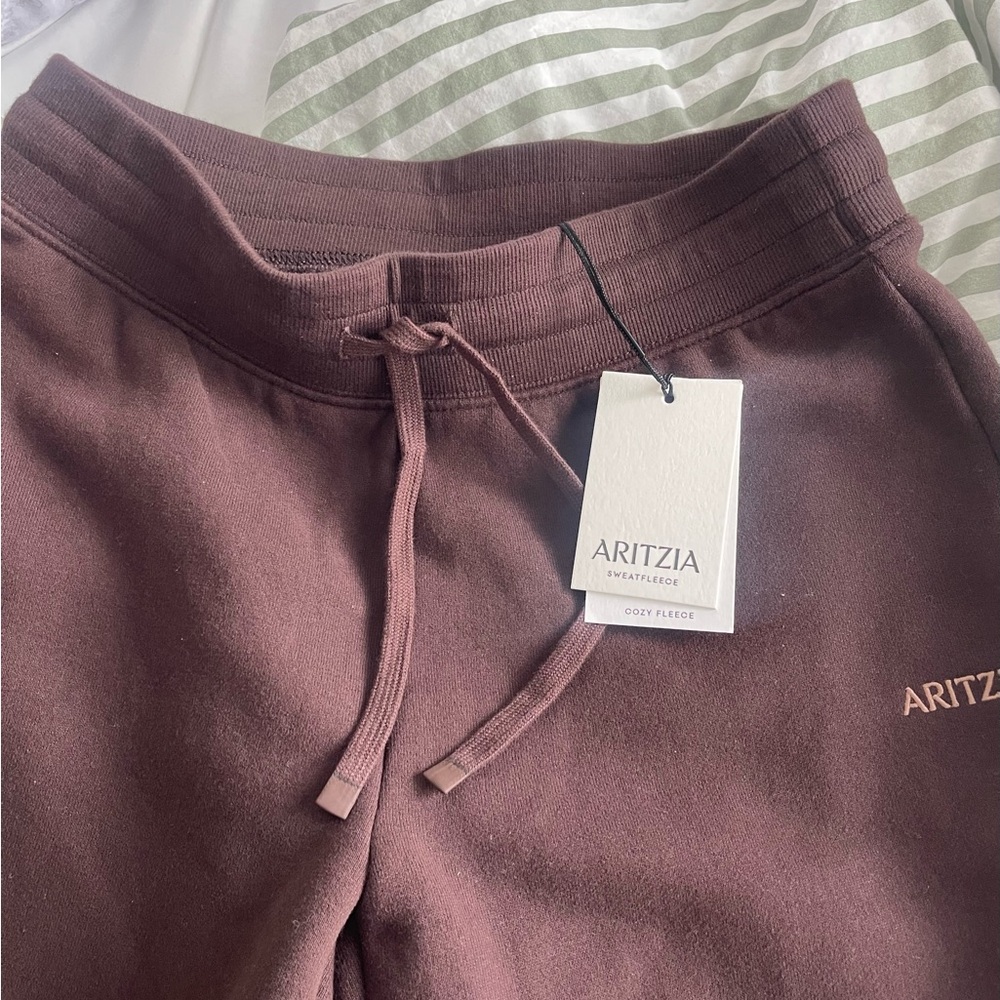 Aritzia Chocolate Joggers - Picture 3 of 4
